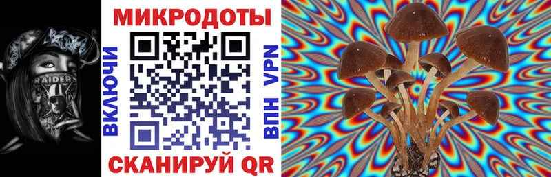 Галлюциногенные грибы Cubensis  купить наркоту  Зуевка 